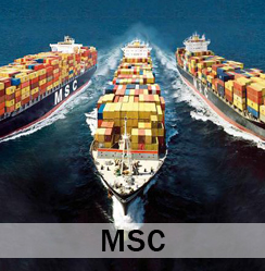 MSC